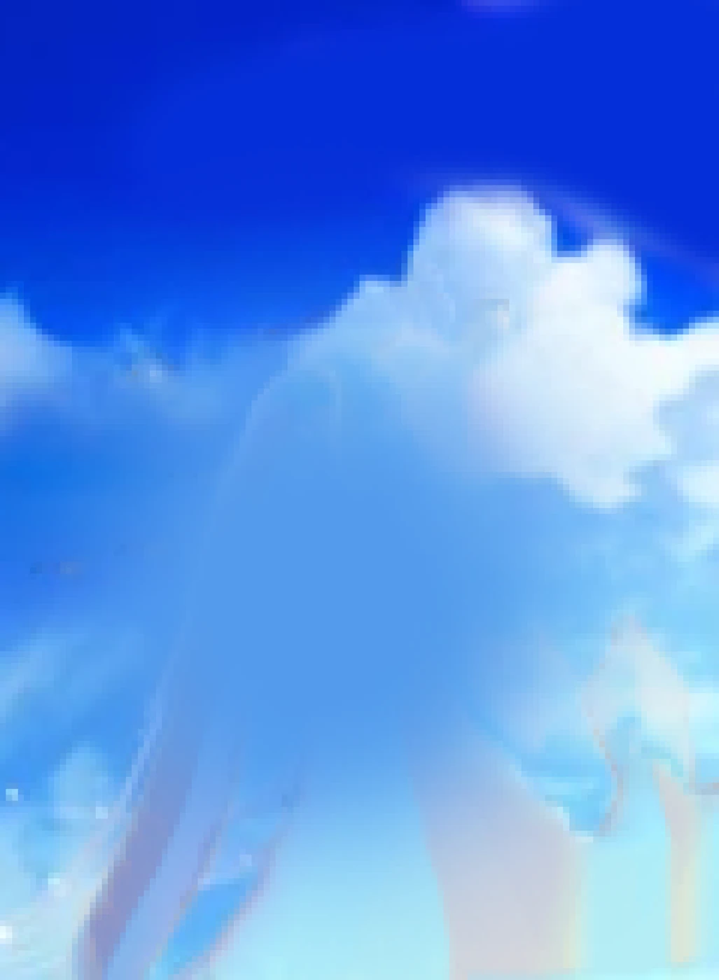 CIELO