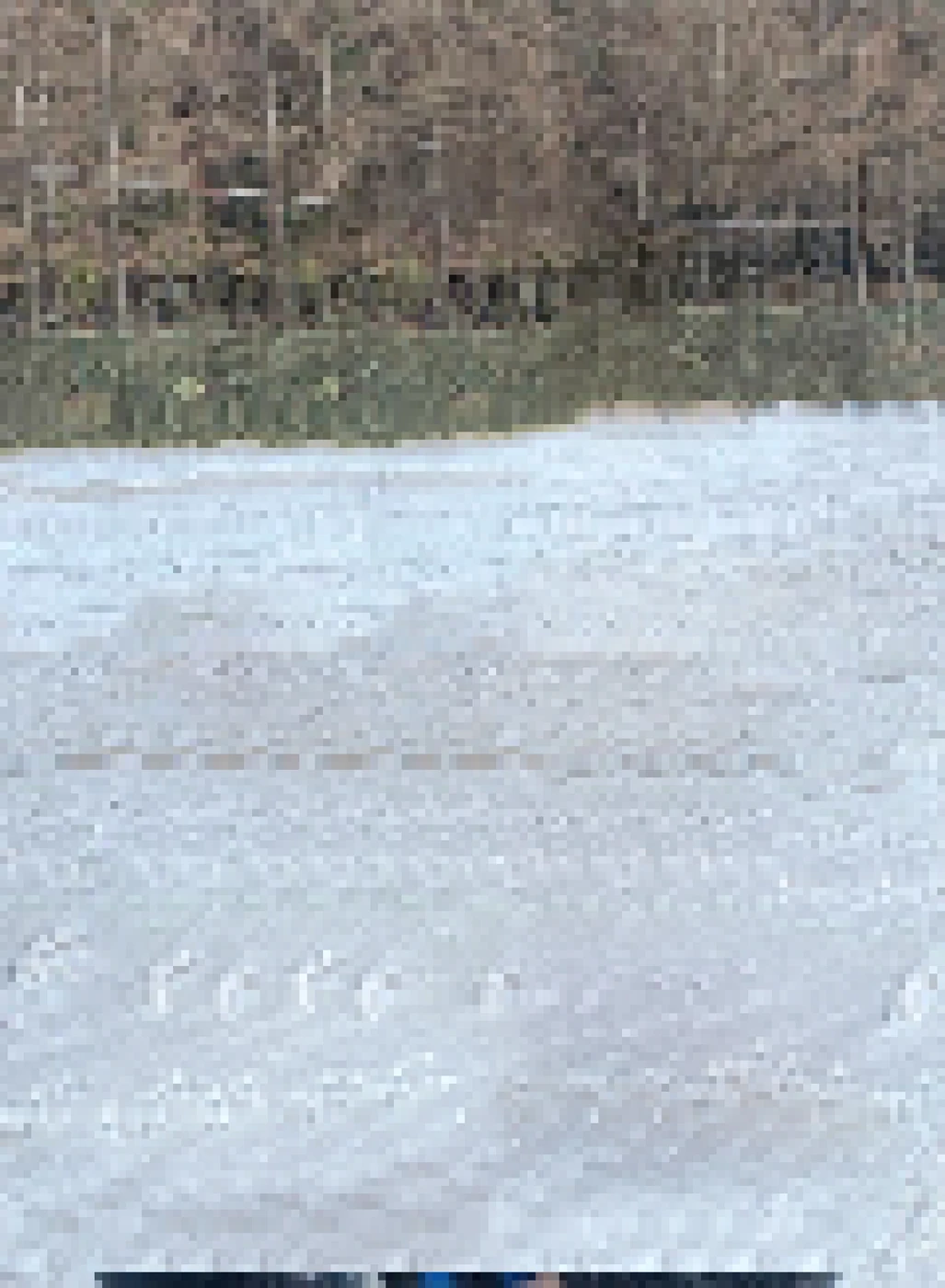 INVIERNO