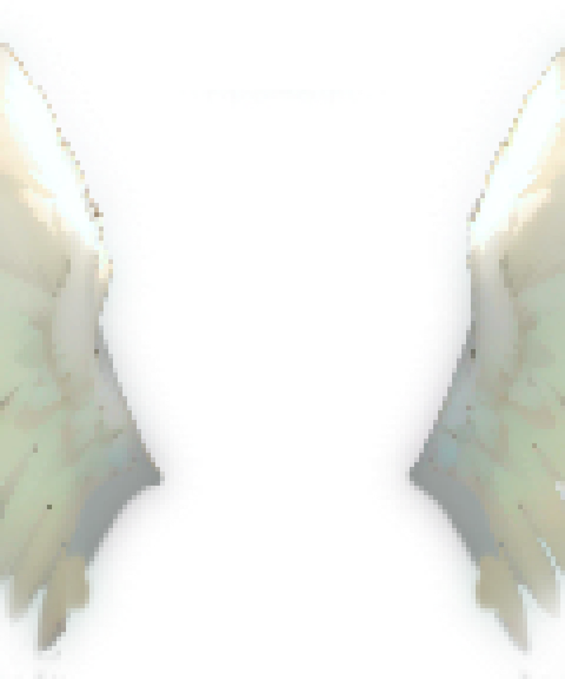 ALAS DE LUZ